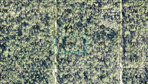 403 YEAGER AVENUE HASTINGS FL 32145