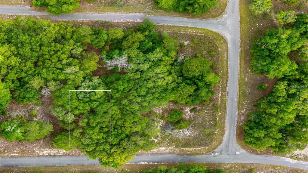 Photo of Magnolia Drive, Ocklawaha, FL 32179 (MLS # D6147461)
