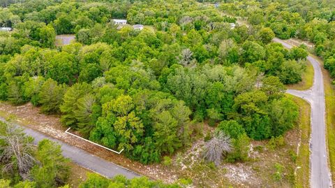 Tiny photo for Magnolia Drive, Ocklawaha, FL 32179 (MLS # D6147461)
