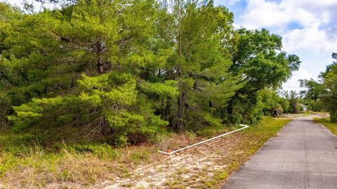 Tiny photo for Magnolia Drive, Ocklawaha, FL 32179 (MLS # D6147461)
