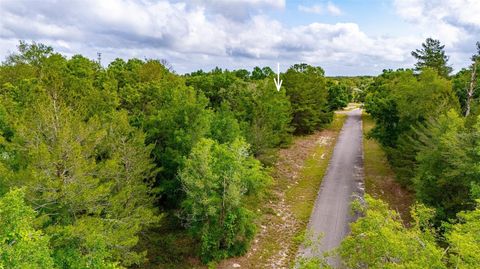 Tiny photo for Magnolia Drive, Ocklawaha, FL 32179 (MLS # D6147461)