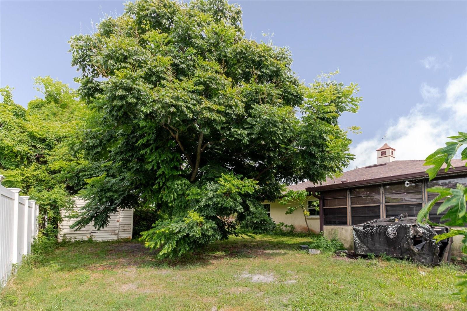 VIVA VILLAS - Residential