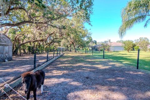 A home in PLANT CITY