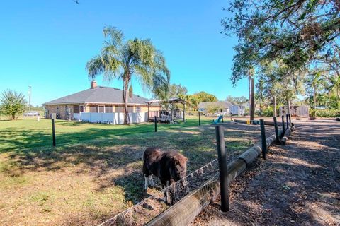 A home in PLANT CITY