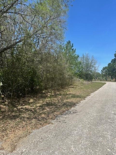 8681 N CATAPANE LOOP