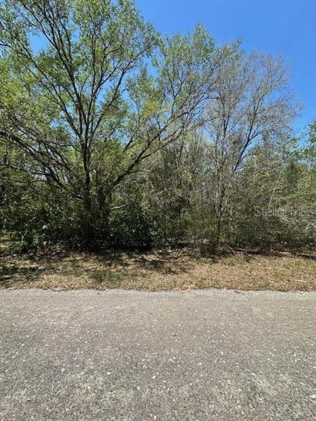 Photo of 8681 N Catapane Loop, Crystal River, FL 34428 (MLS # W7885194)
