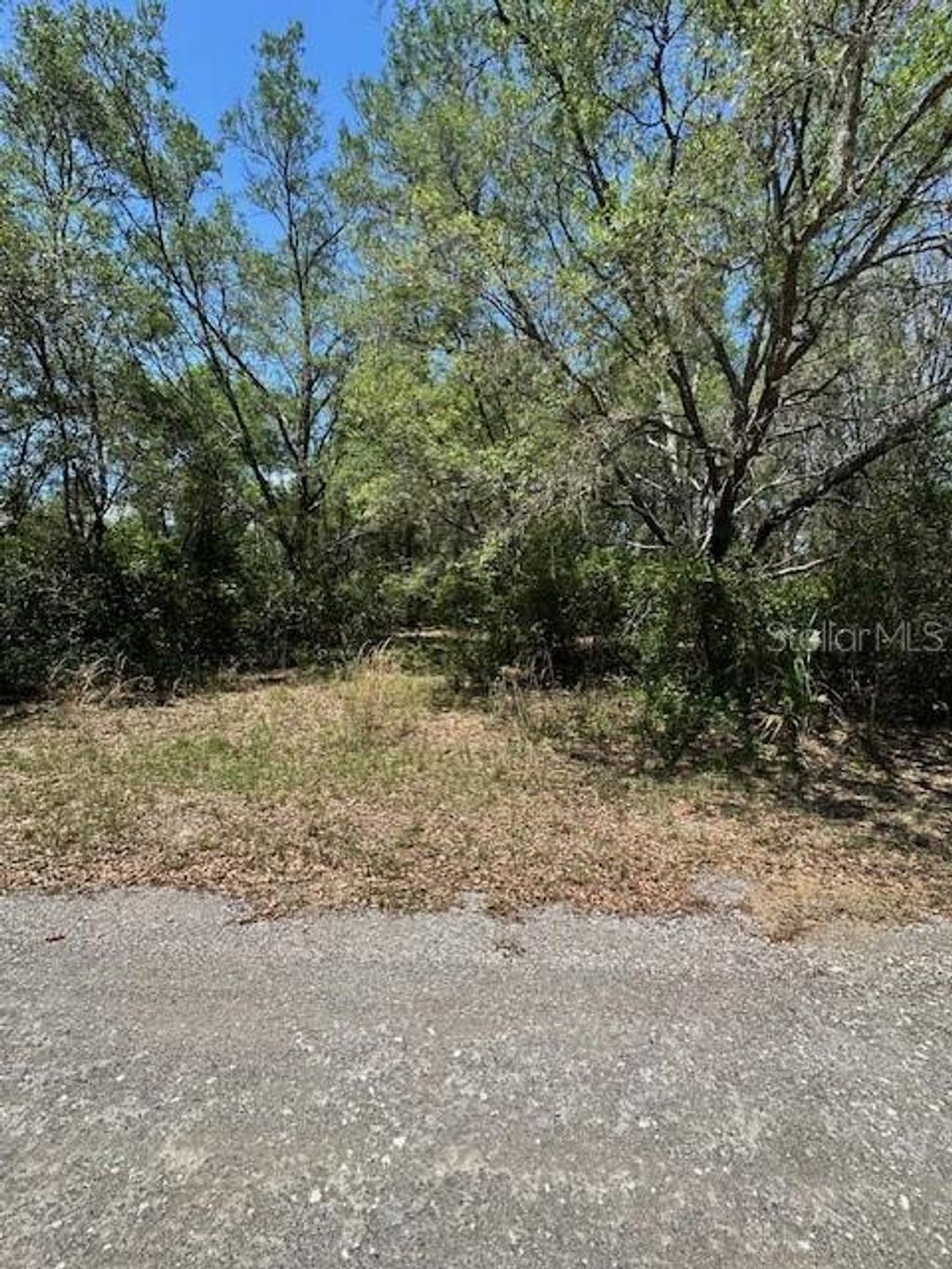 Photo of 8681 N Catapane Loop, Crystal River, FL 34428 (MLS # W7885194)
