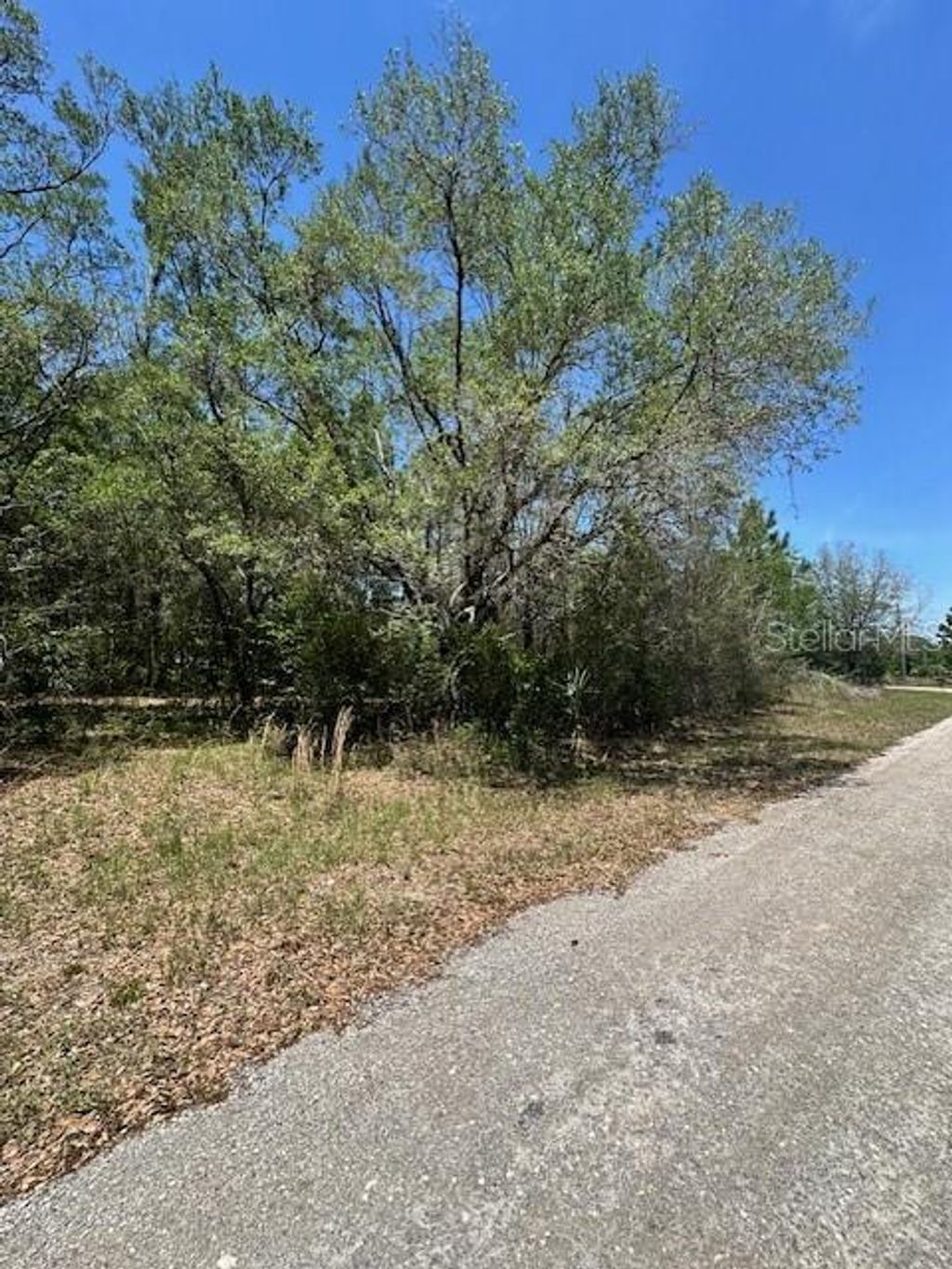 Photo of 8681 N Catapane Loop, Crystal River, FL 34428 (MLS # W7885194)