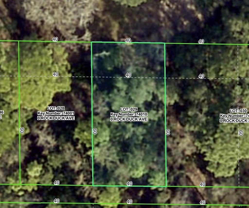 Photo of Rock Duck Avenue, Brooksville, FL 34614 (MLS # W7879474)