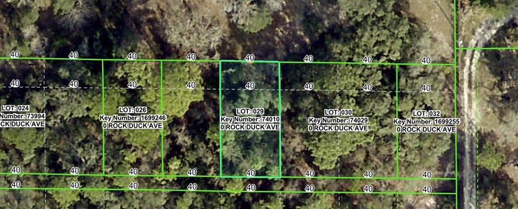 Photo of Rock Duck Avenue, Brooksville, FL 34614 (MLS # W7879474)