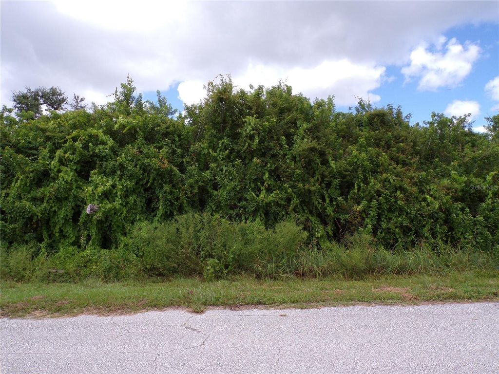 Photo of 12508 Rathwell Avenue, Port Charlotte, FL 33981 (MLS # C7513519)