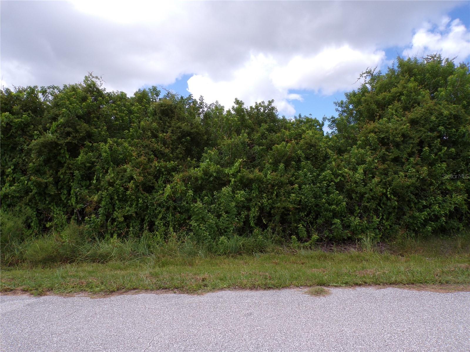 This lot is on a quiet street, that would be a great place to build your dream home and retire or raise your family. Less than 15 miles to I75 makes this location an easy commute to almost anywhere, and only 9 miles to Chadwick Park at Englewood Beach with amazing sunsets, 5 miles to South Englewood with lots of shopping and dining options. Tampa Bay Rays spring training and the fairgrounds are just minutes away, also multiple golf courses and some of the best boating and fishing in all of Florida. Red Soxs, Orioles, Twins and Braves spring training all within an hour’s drive. Buyer and buyers’ reps are responsible for determining environmental conditions and endangered species restrictions. This lot is priced to sell so please call for availability! This lot is at a great price point for the investor call today.