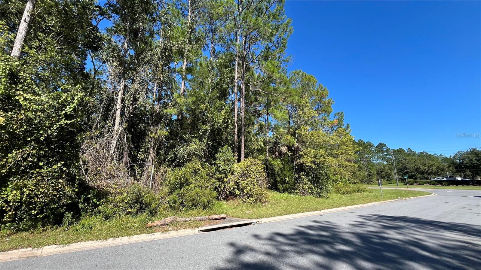 PINE FOREST ESTATES #2 REP - Land