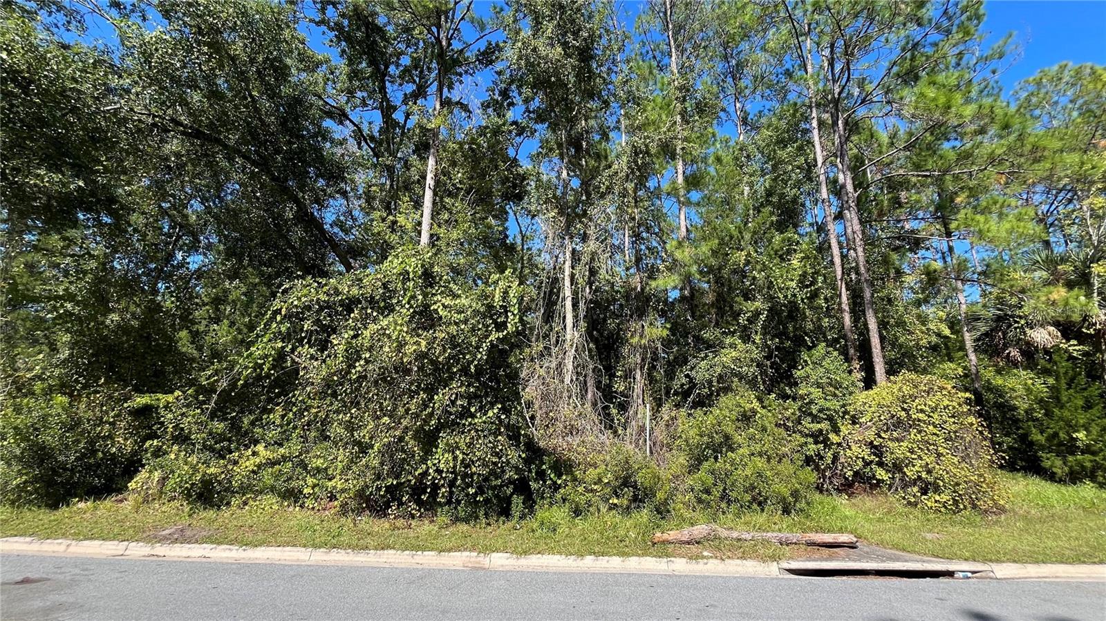 PINE FOREST ESTATES #2 REP - Land