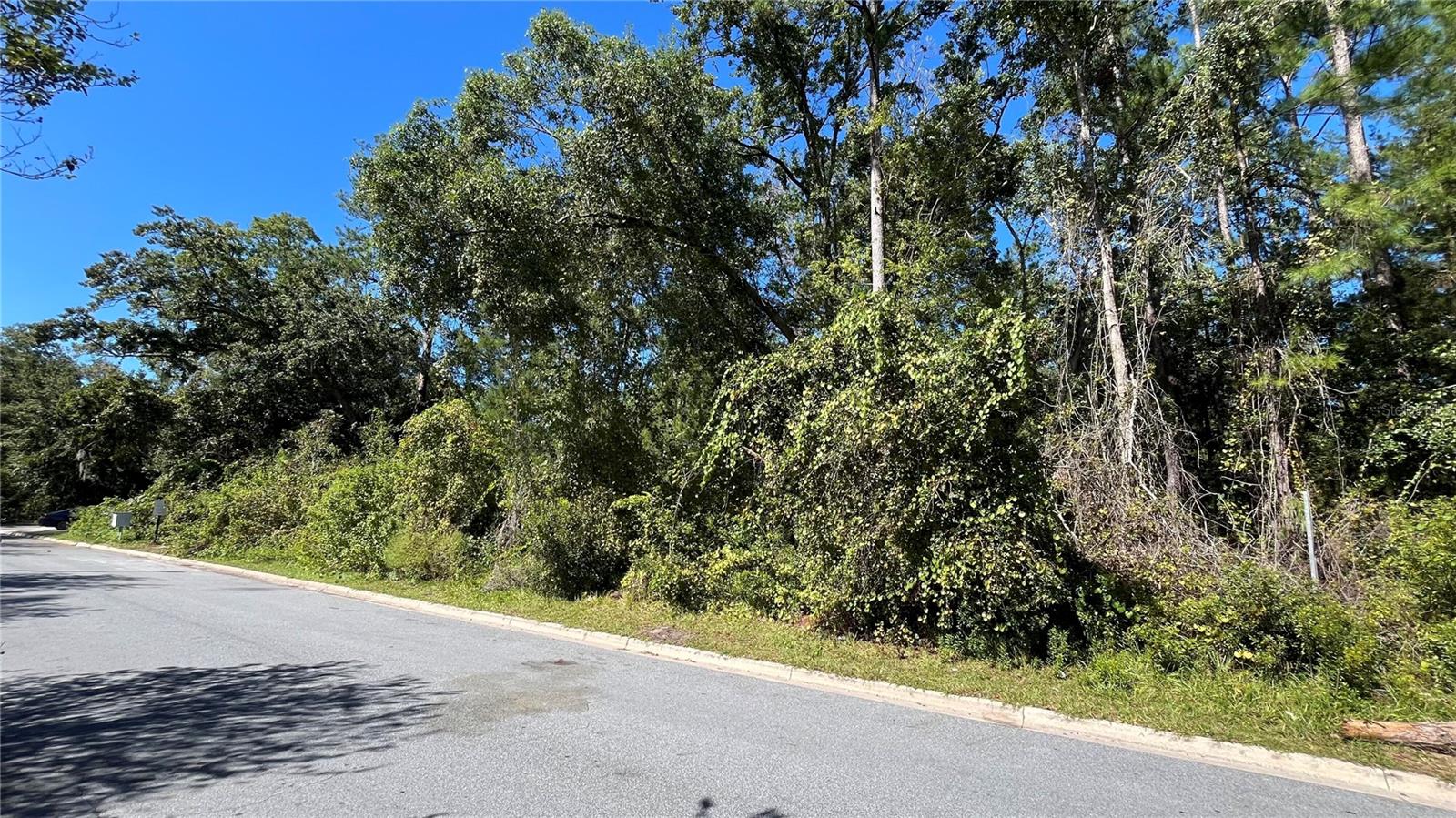 PINE FOREST ESTATES #2 REP - Land