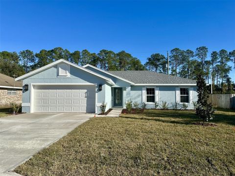 A home in PALM COAST