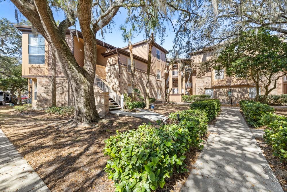 WINDSOR AT SABAL WALK A CONDO - Residential