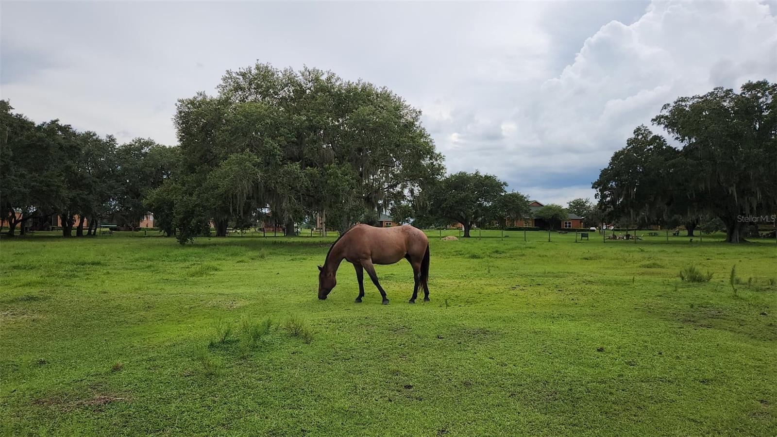 OUTDOOR RESORTS RIVER RANCH RV RESORT PH 05A - Land
