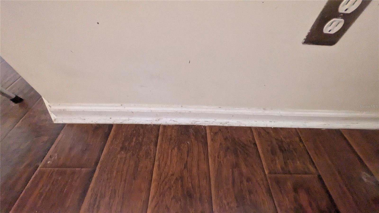 ASHLEY WOODS - Residential