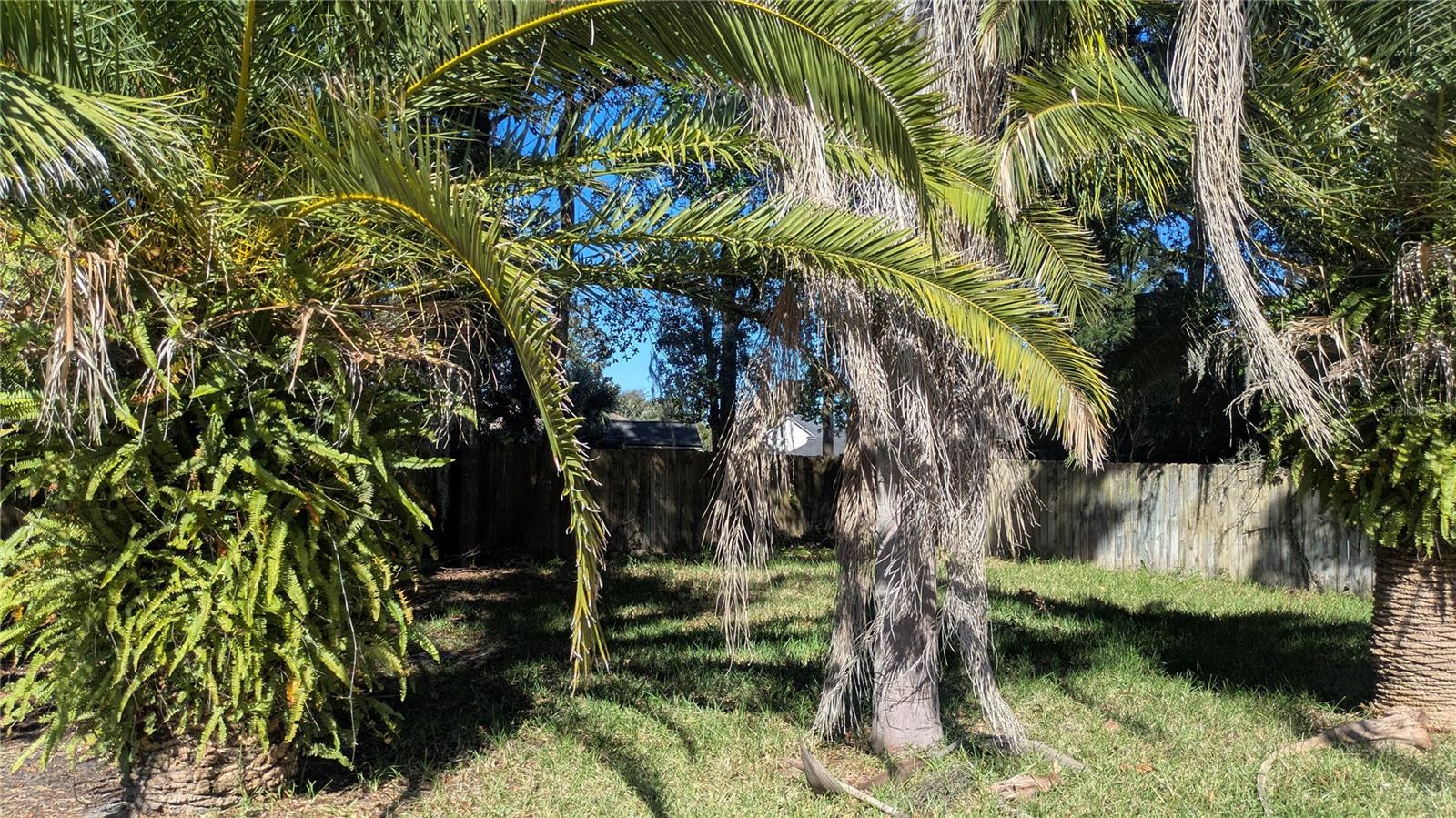 ASHLEY WOODS - Residential