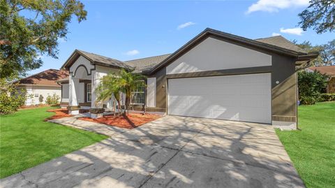 A home in RIVERVIEW