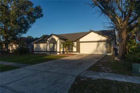 A home in RIVERVIEW