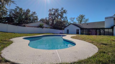 A home in RIVERVIEW