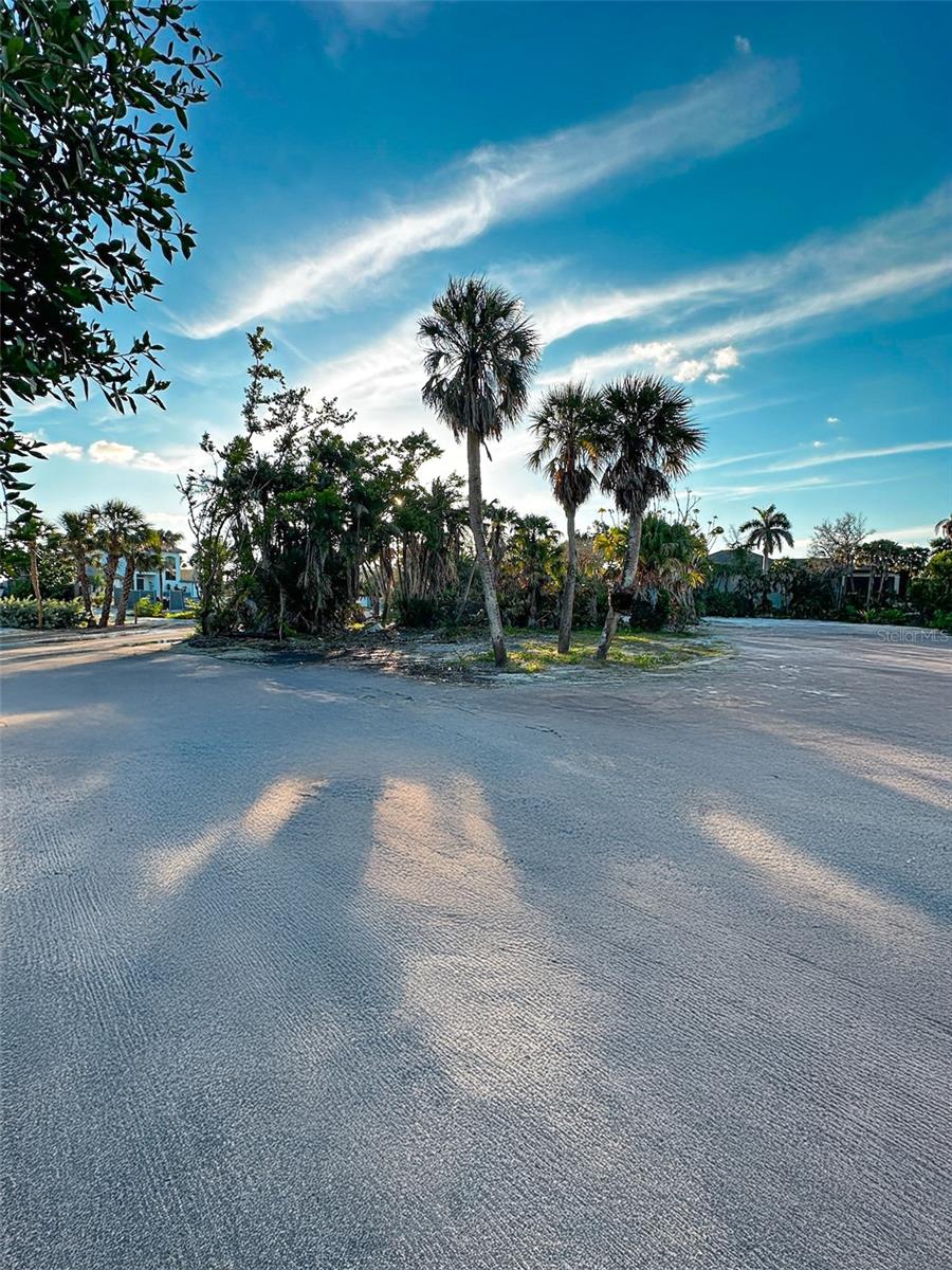 SANDERLING CLUB / SIESTA PROPERTIES INC - Land