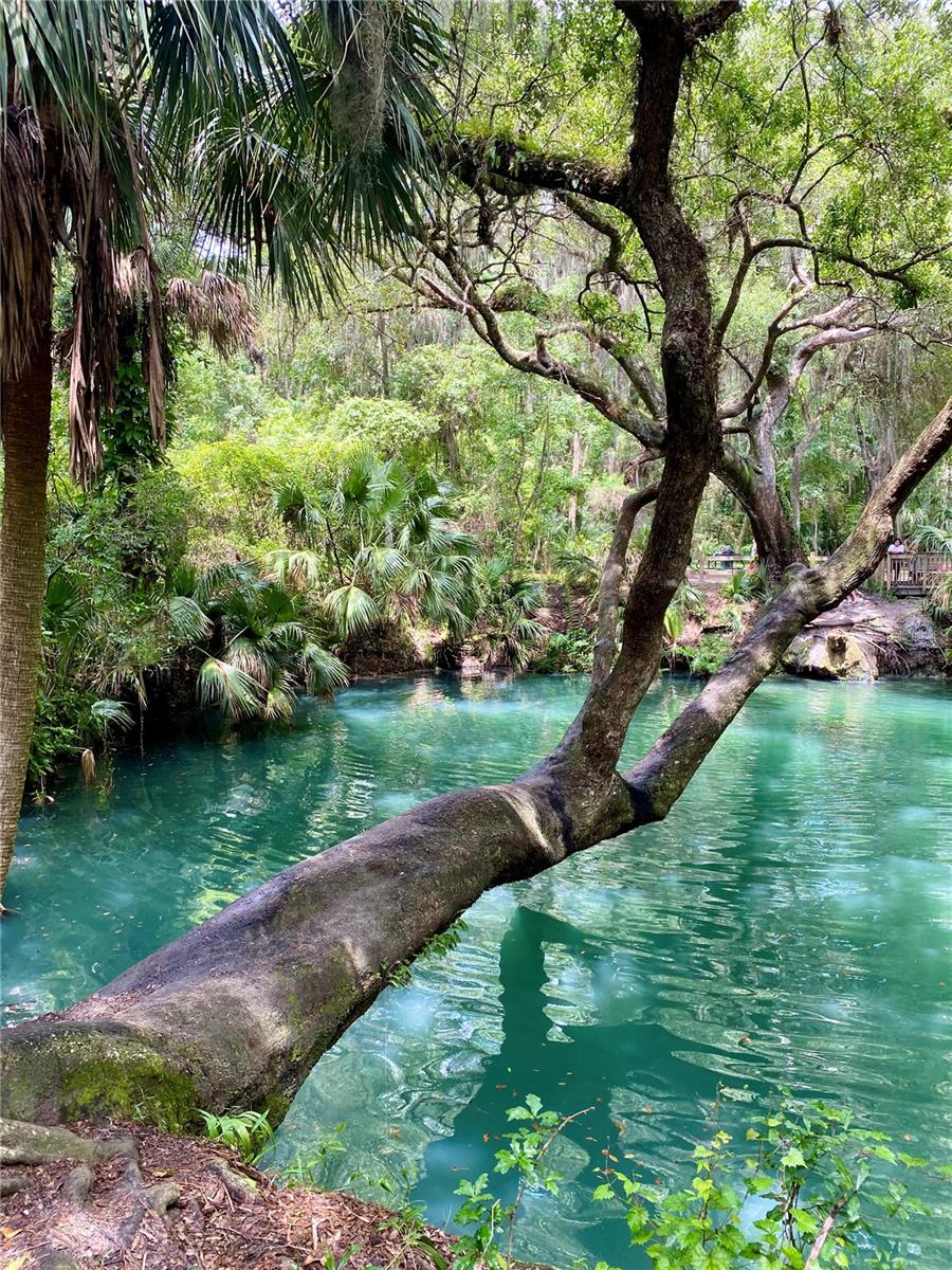 LAKESIDE CONDO APTS - Residential