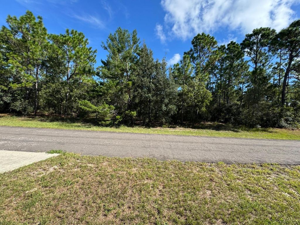 Photo of 3747 W Florentine Drive, Citrus Springs, FL 34433 (MLS # O6355345)