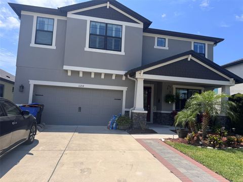 11219 PADDOCK MANOR AVENUE RIVERVIEW FL 33569
