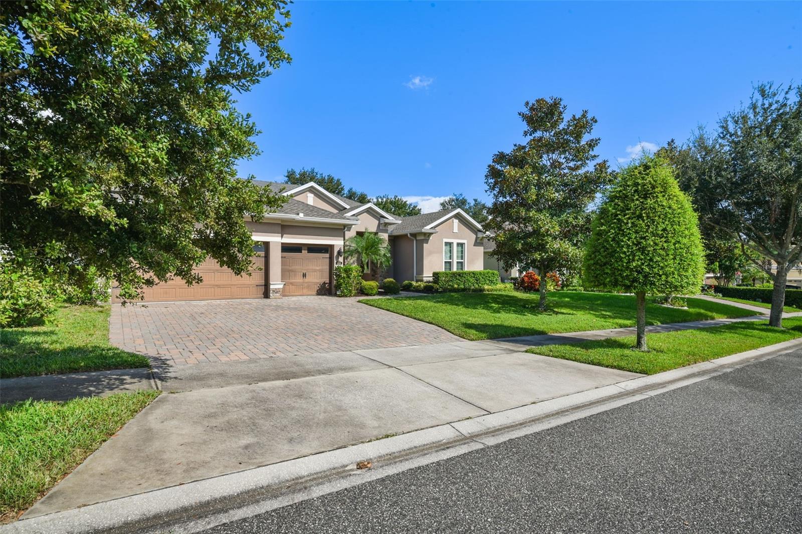 VINEYARD - Residential