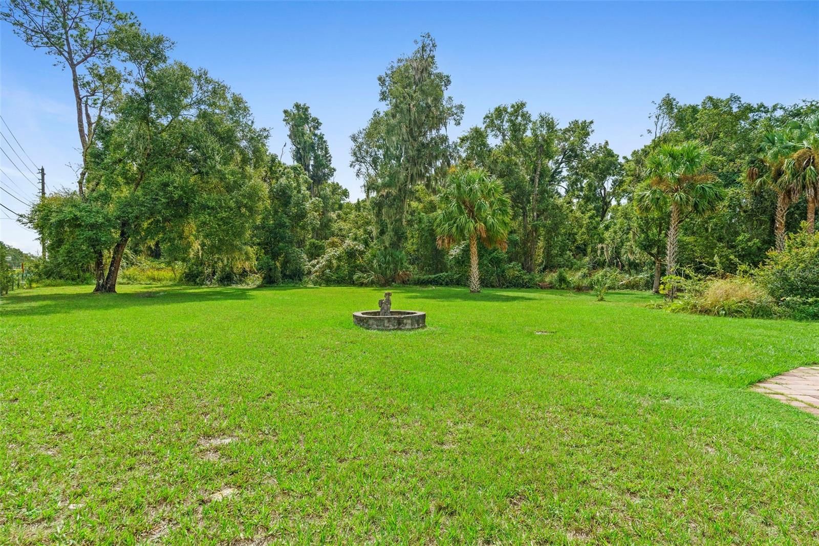 BEARDSLEYS DELEON SPGS - Commercial Sale