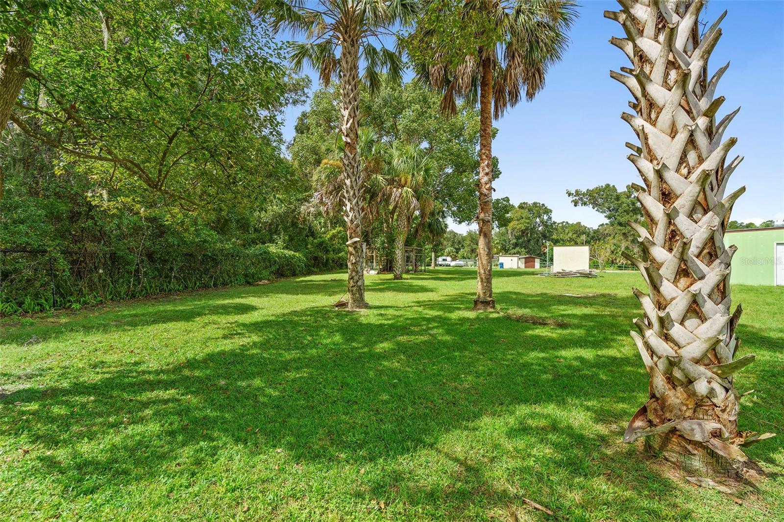 BEARDSLEYS DELEON SPGS - Commercial Sale