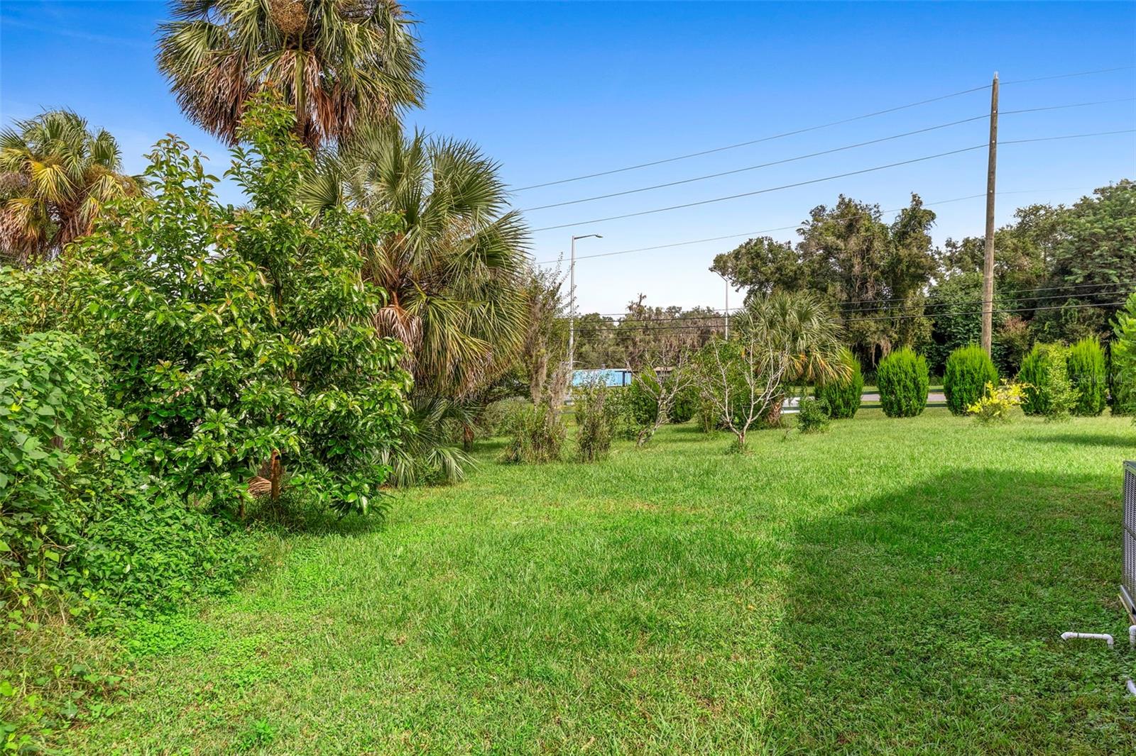 BEARDSLEYS DELEON SPGS - Commercial Sale