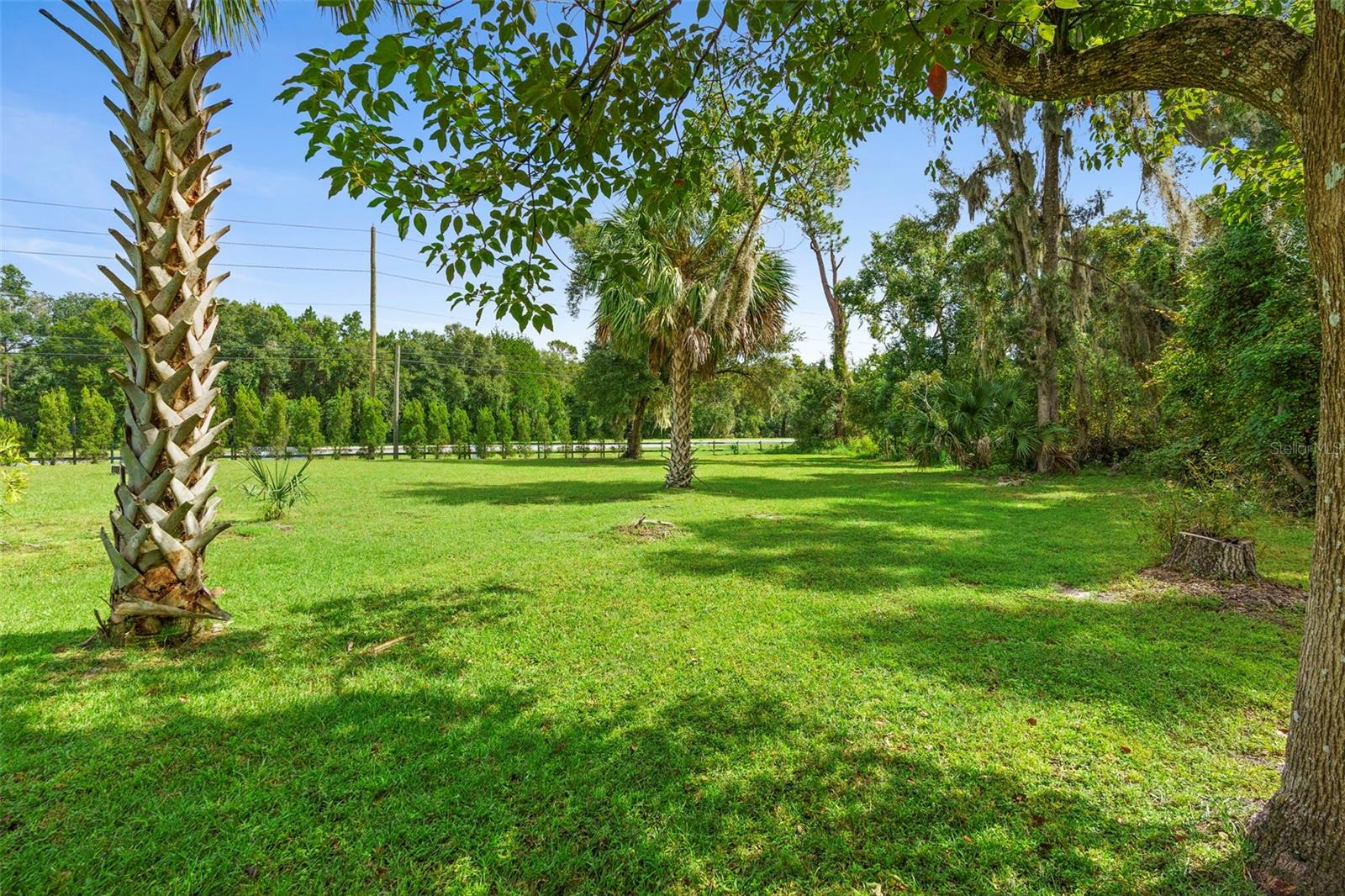 BEARDSLEYS DELEON SPGS - Commercial Sale