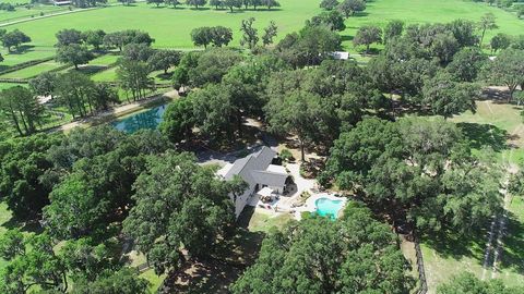 Tiny photo for 13450 NW Gainesville Road, Reddick, FL 32686 (MLS # OM661446)