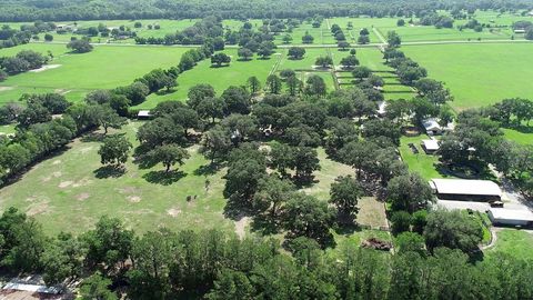 Tiny photo for 13450 NW Gainesville Road, Reddick, FL 32686 (MLS # OM661446)