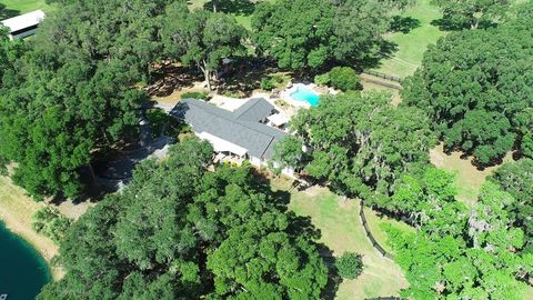 Tiny photo for 13450 NW Gainesville Road, Reddick, FL 32686 (MLS # OM661446)