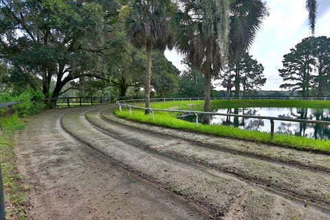 Tiny photo for 13450 NW Gainesville Road, Reddick, FL 32686 (MLS # OM661446)