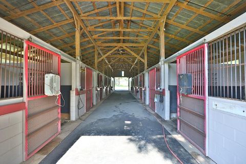 Tiny photo for 13450 NW Gainesville Road, Reddick, FL 32686 (MLS # OM661446)