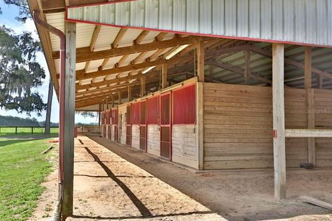 Tiny photo for 13450 NW Gainesville Road, Reddick, FL 32686 (MLS # OM661446)