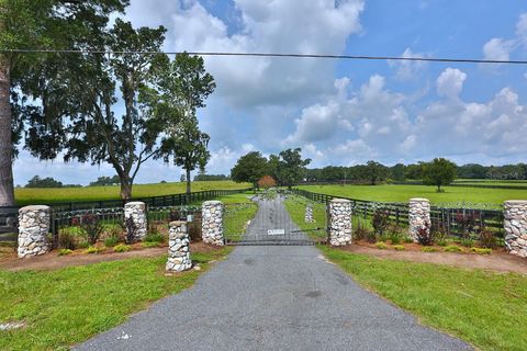 Tiny photo for 13450 NW Gainesville Road, Reddick, FL 32686 (MLS # OM661446)