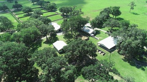 Tiny photo for 13450 NW Gainesville Road, Reddick, FL 32686 (MLS # OM661446)