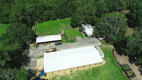 Tiny photo for 13450 NW Gainesville Road, Reddick, FL 32686 (MLS # OM661446)