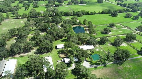 Tiny photo for 13450 NW Gainesville Road, Reddick, FL 32686 (MLS # OM661446)