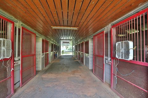 Tiny photo for 13450 NW Gainesville Road, Reddick, FL 32686 (MLS # OM661446)