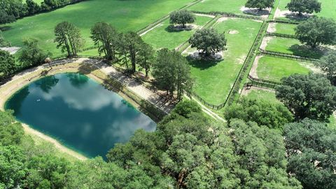 Tiny photo for 13450 NW Gainesville Road, Reddick, FL 32686 (MLS # OM661446)