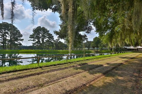 Tiny photo for 13450 NW Gainesville Road, Reddick, FL 32686 (MLS # OM661446)