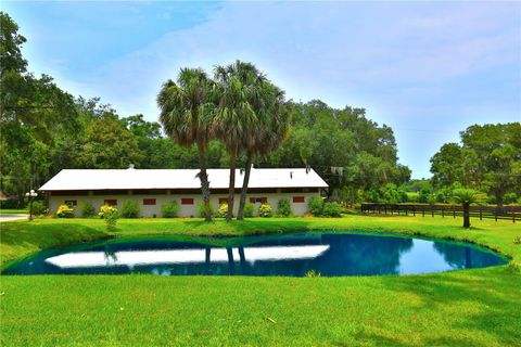 Tiny photo for 13450 NW Gainesville Road, Reddick, FL 32686 (MLS # OM661446)